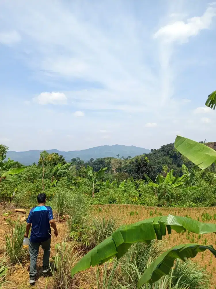 Lokasi Buat villa & yayasan atau ternak di bogor timur