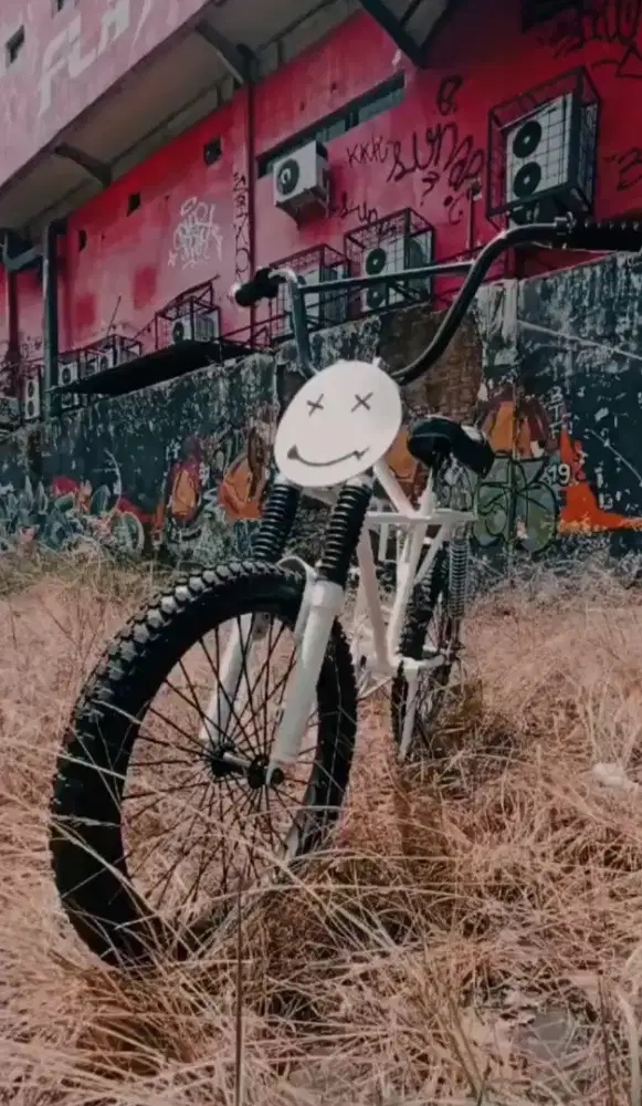 Bmx motobike panda