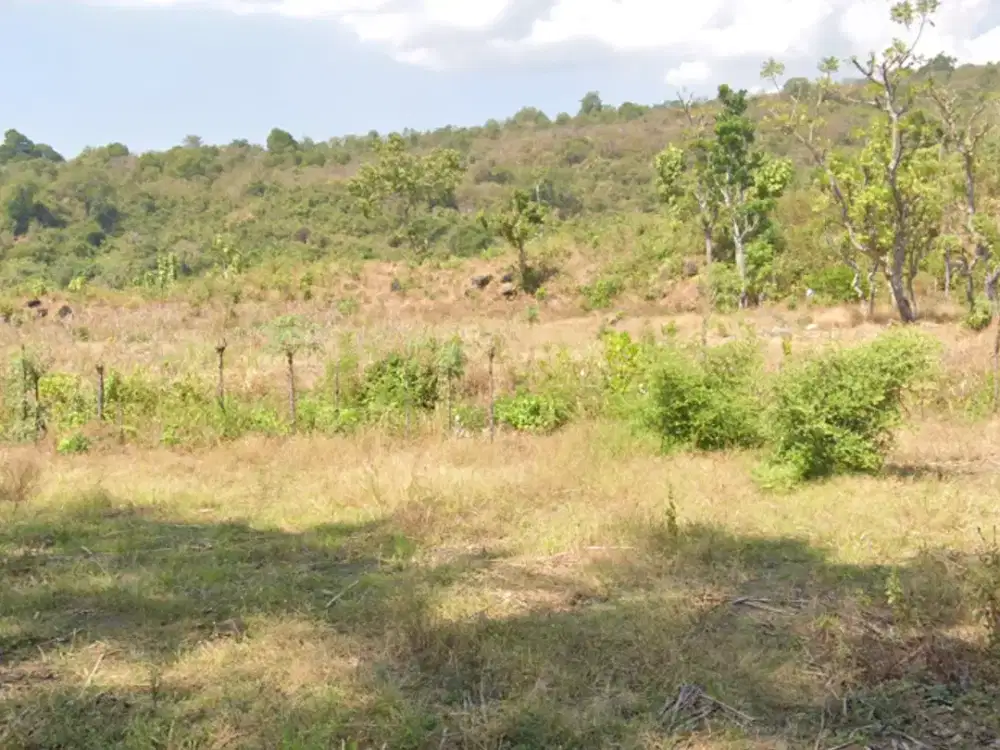 DIJUAL 3 BIDANG TANAH DENGAN TOTAL LUAS 39.276 M2 - LOMBOK TIMUR