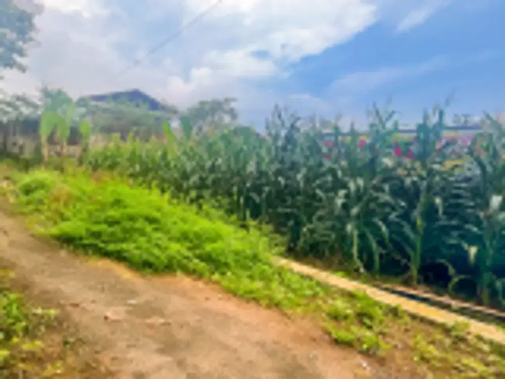 DIJUAL 1 BIDANG TANAH DENGAN TOTAL LUAS 7868 M2 BERIKUT BANGUNAN - SUKOHARJO