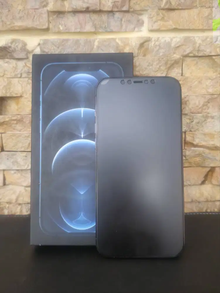 iPhone 12 Pro Max Internal 256 GB ex iBox warna Pacific Blue.