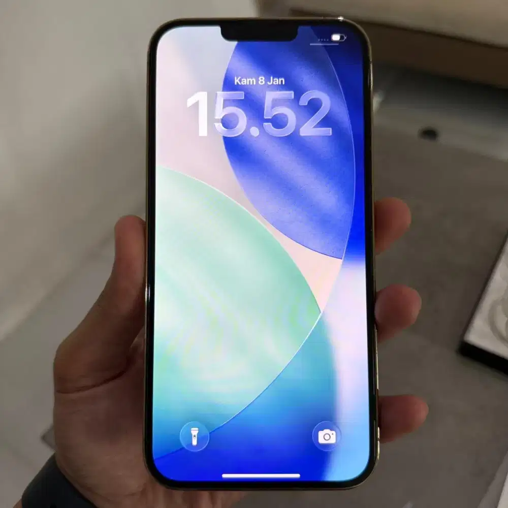 iPhone 13 Pro Max 256GB