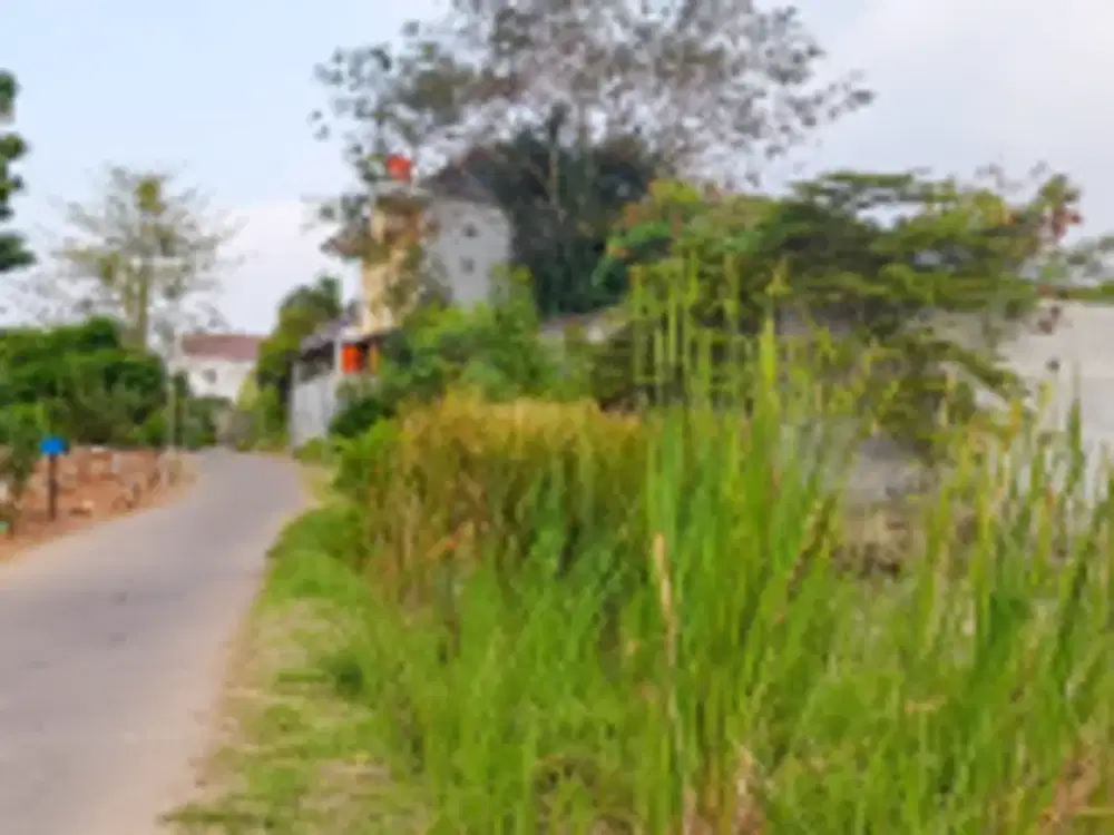 DIJUAL 1 BIDANG TANAH DENGAN TOTAL LUAS 2730 M2 - PEKALONGAN