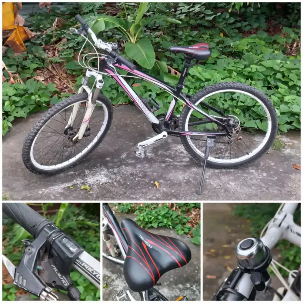 Sepeda MTB Polygon Cleo 4