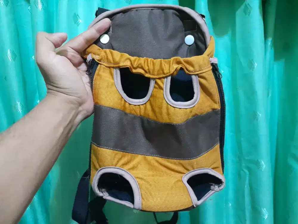 Tas kucing dan anjing