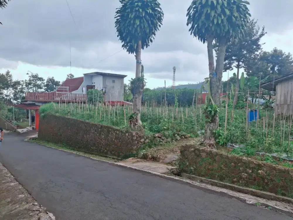 Dijual Tanah Murah meriah