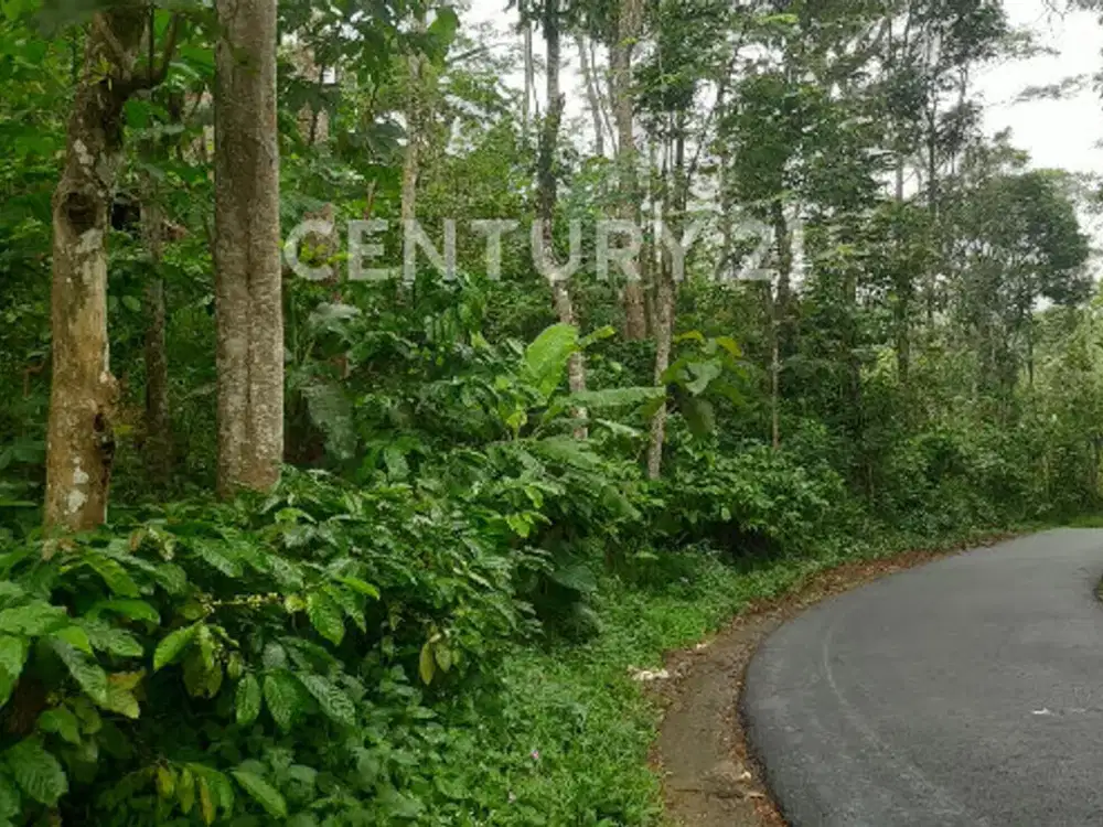 Dijual Cepat Tanah Prospektif Di Daerah Temanggung