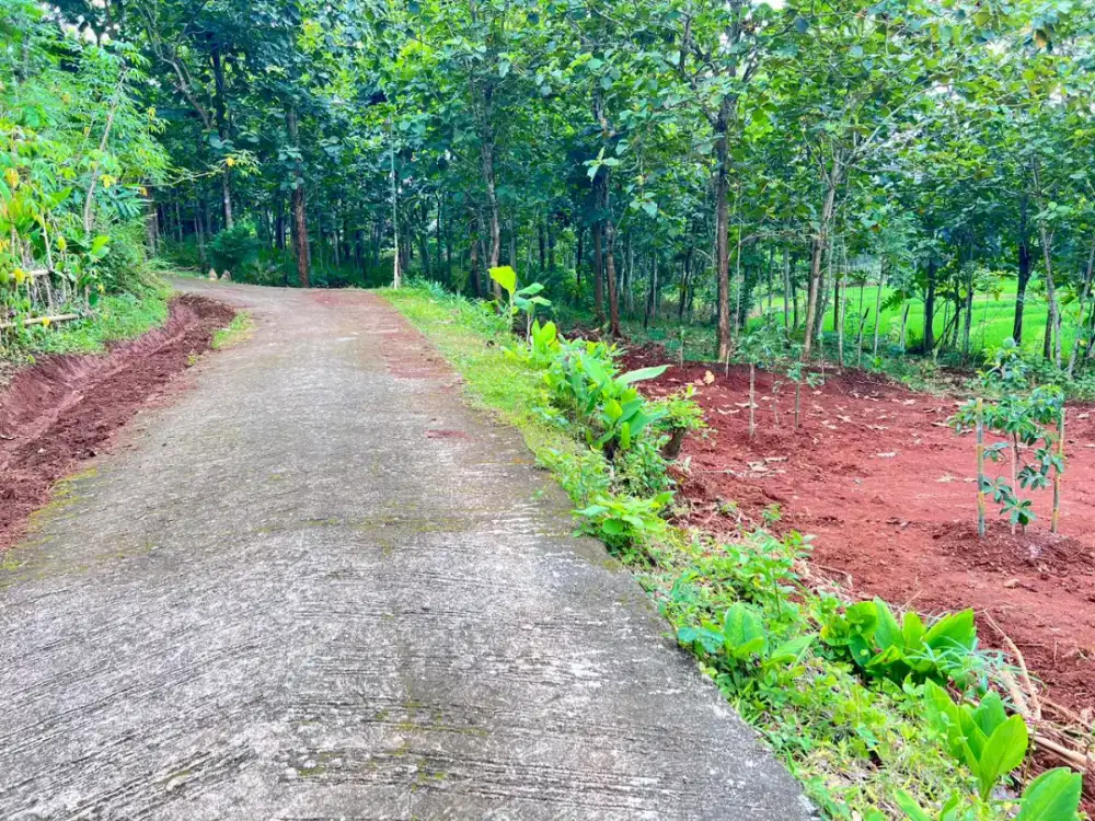 Dijual Tanah murah meriah