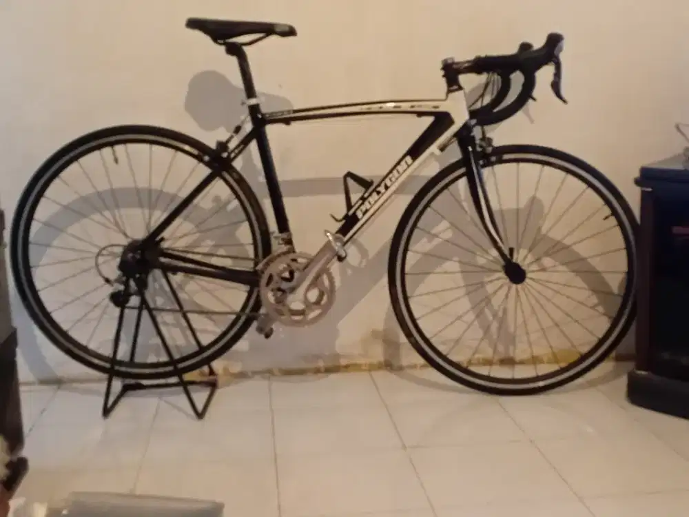 Road Bike Polygon
