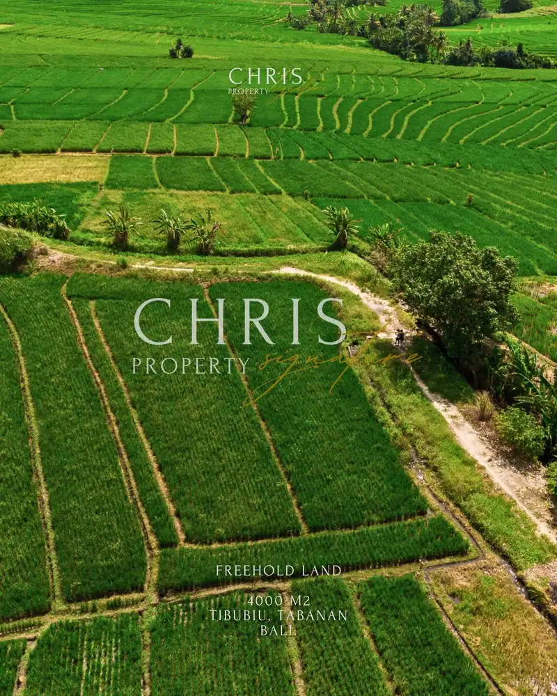 Freehold Land in Tabanan, Bali — 40 Are for Villa or Estate