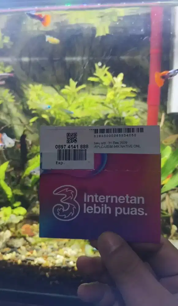 NOCAN TRi 11 DIJIT EKOR 888