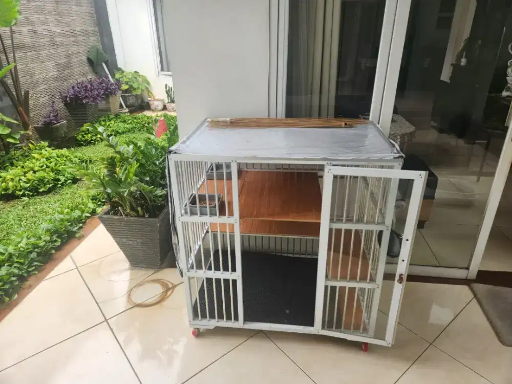 Dijual Kandang Kucing Jumbo