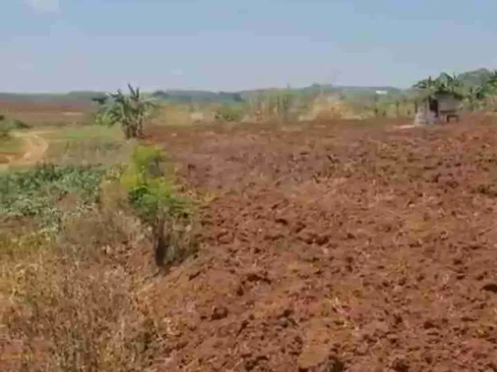 DIJUAL TANAH 16 HA ZONA KUNING MIJEN SEMARANG