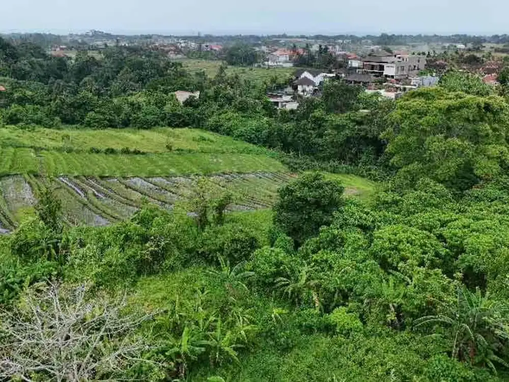 Dijual Tanah 38 Are Tabanan