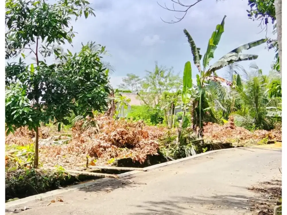Tanah Jogja Barat Jl Palagan SHM Pekarangan Bisa Dicicil