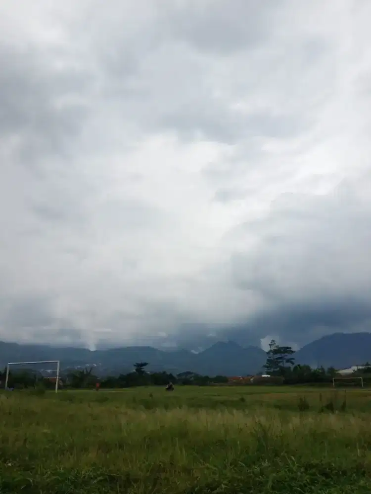 JASA SURUH APAAN AJA