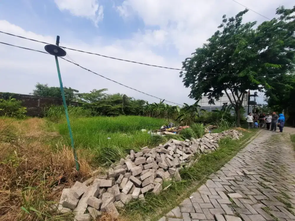 Tanah Dekat Benowo Surabaya