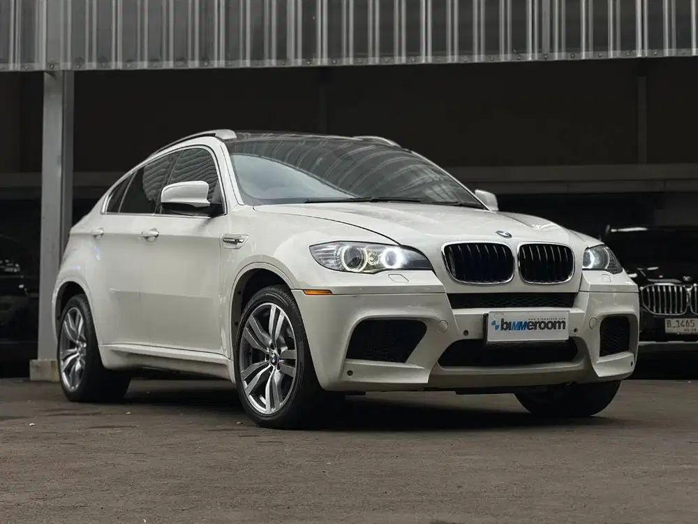 BMW X6 M E71 2011