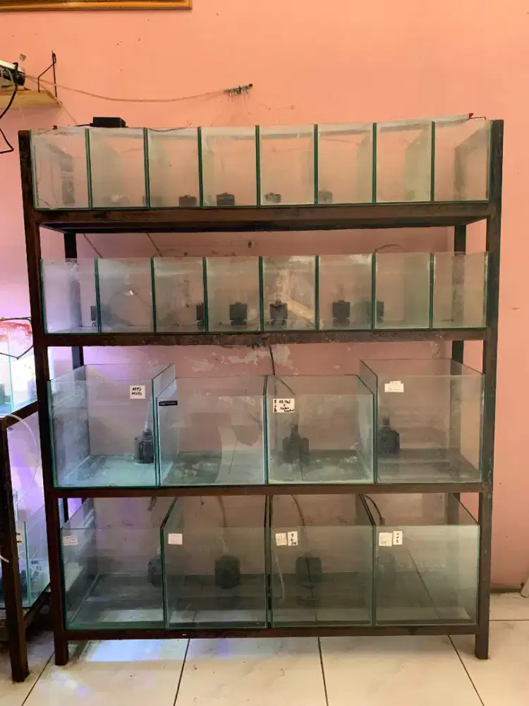 Rak besi hollow 4 susun dan 24 aquarium