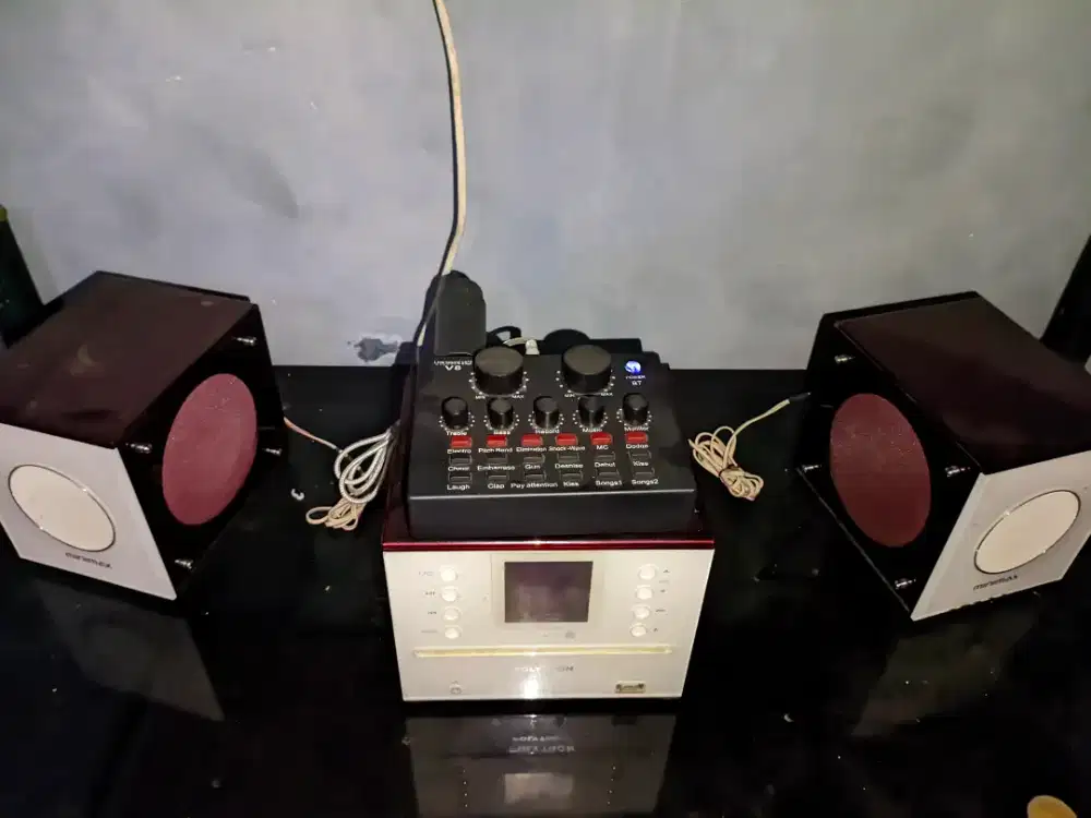 Speaker Polytron Minimax