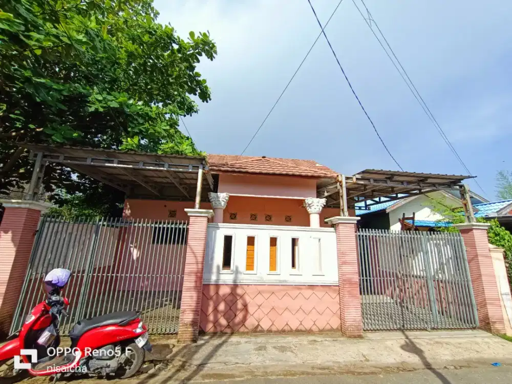 dikontrakkan pertahun tidak perbulan