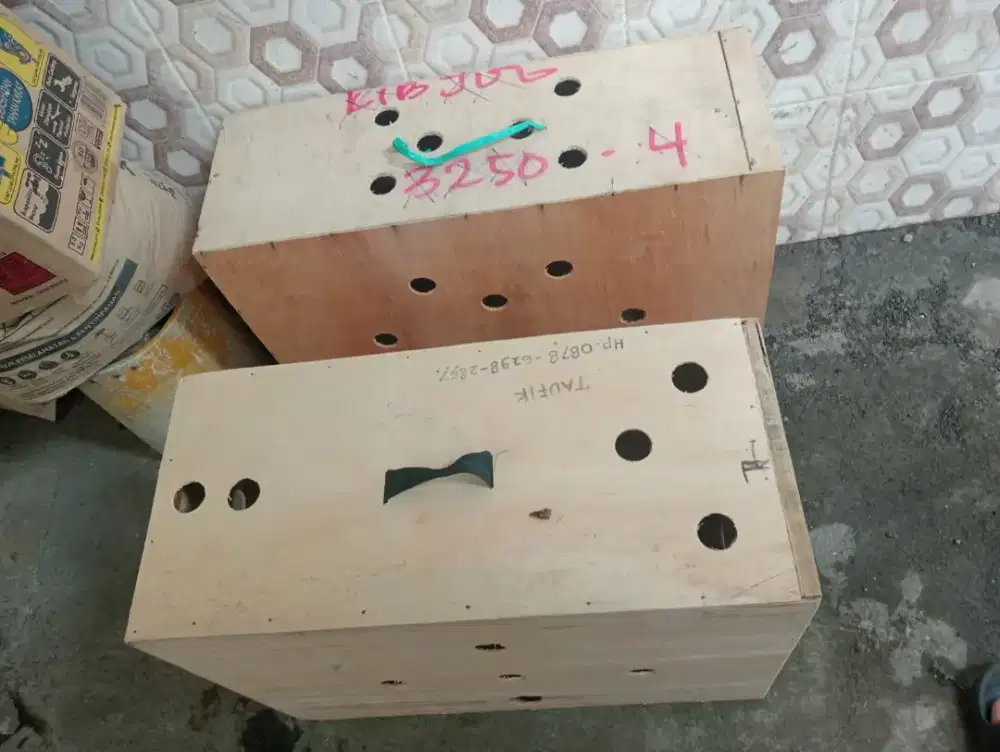 Box untuk pengiriman ayam luar kota