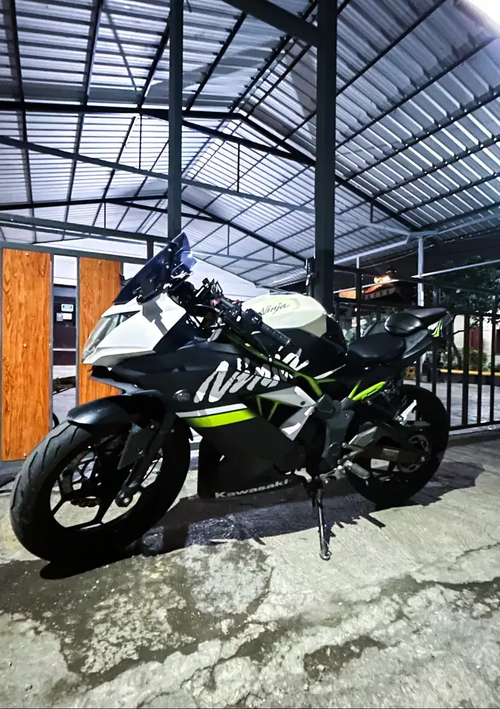 Kawasaki ninja mono 250 sl