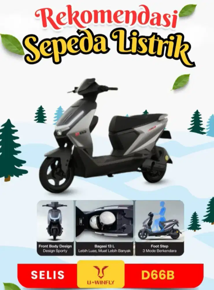 SEPEDA LISTRIK D66A UWINFLY