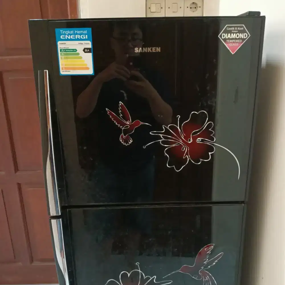 kulkas 2 pintu Sanken