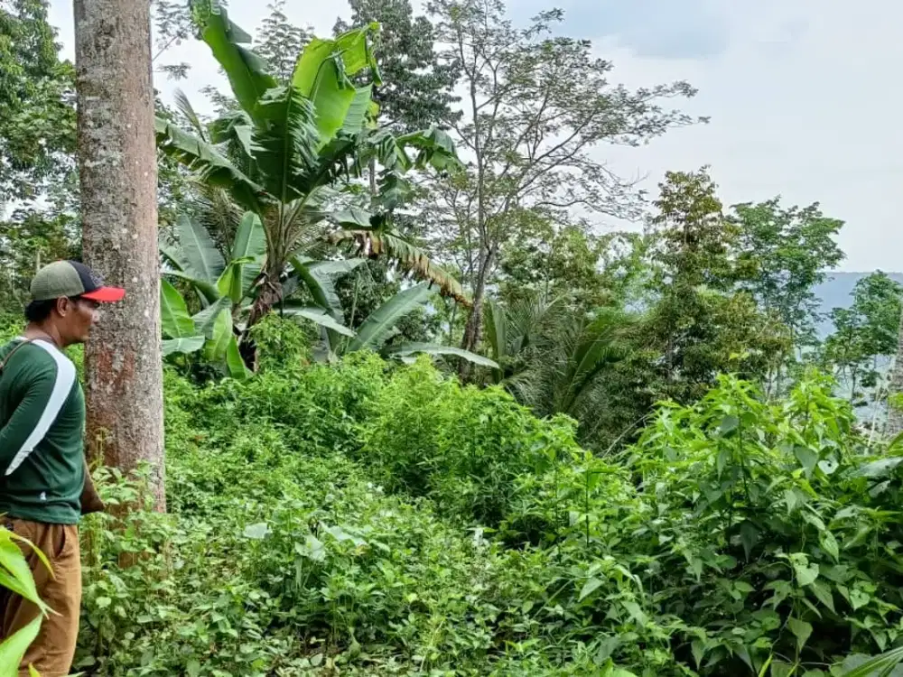 DIJUAL CEPAT – KEBUN DURIAN VIEW ALAM KOTA MALANG