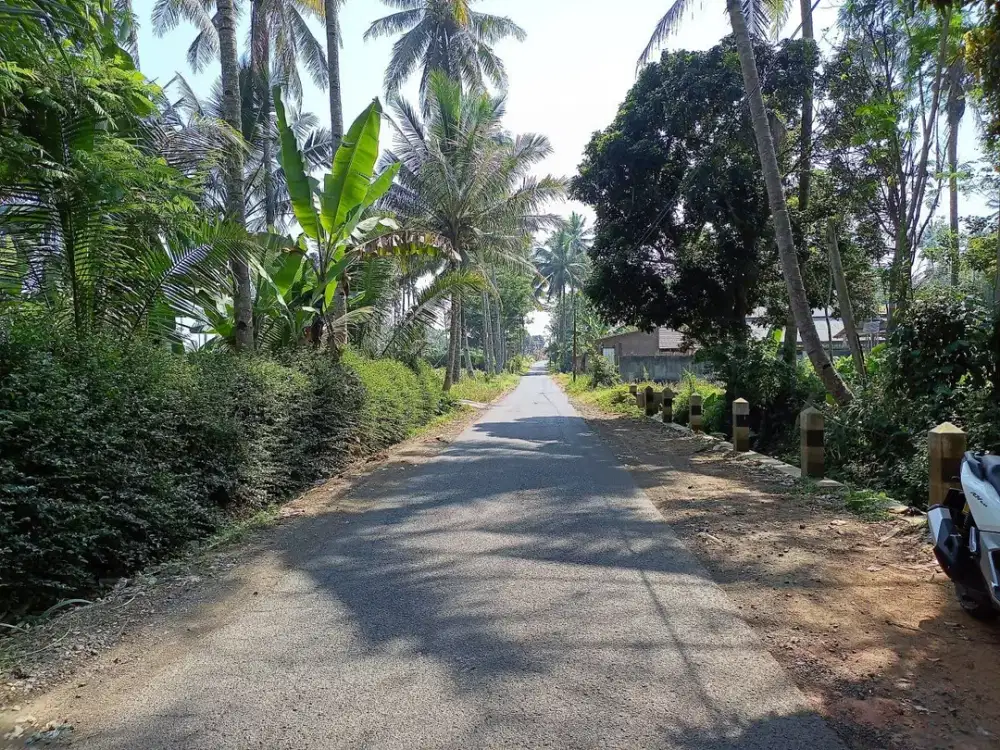 TANAH LUAS & STRATEGIS – PURWOSEKAR, TAJINAN, MALANG