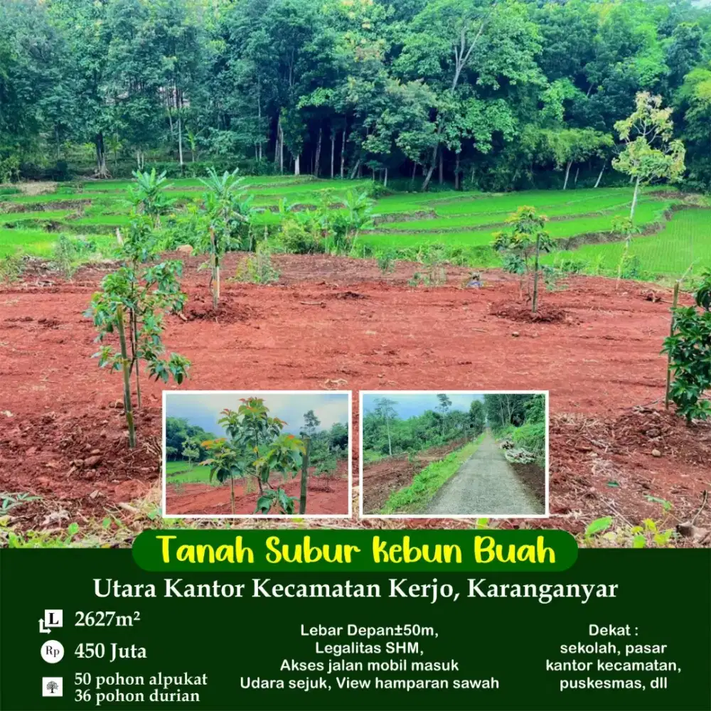 Kebun durian kerjo karanganyar