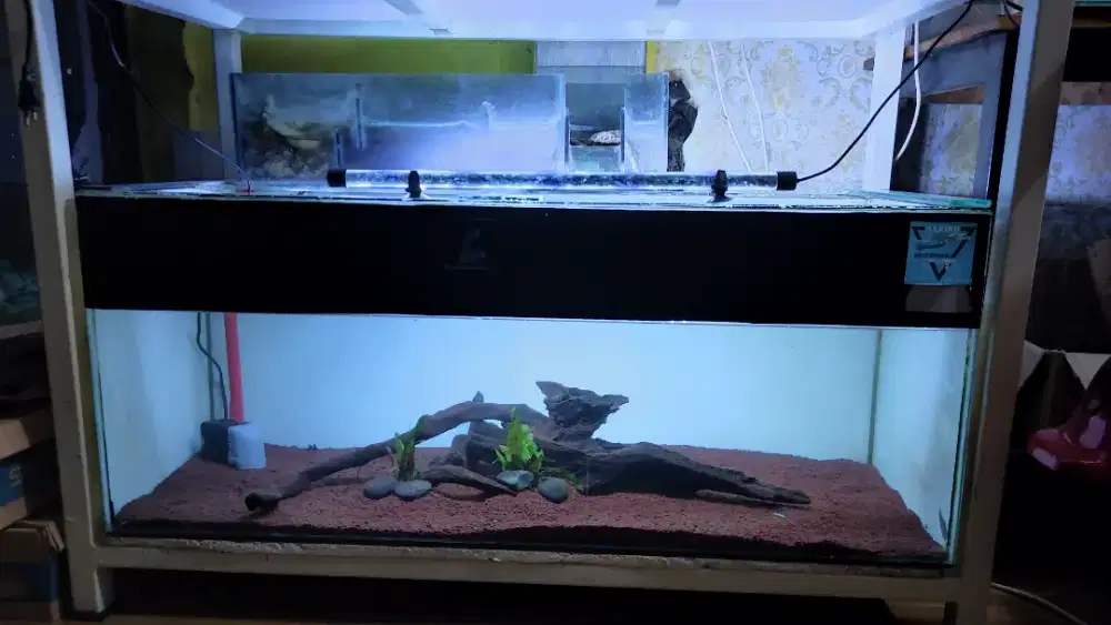 Aquarium 100x40x40