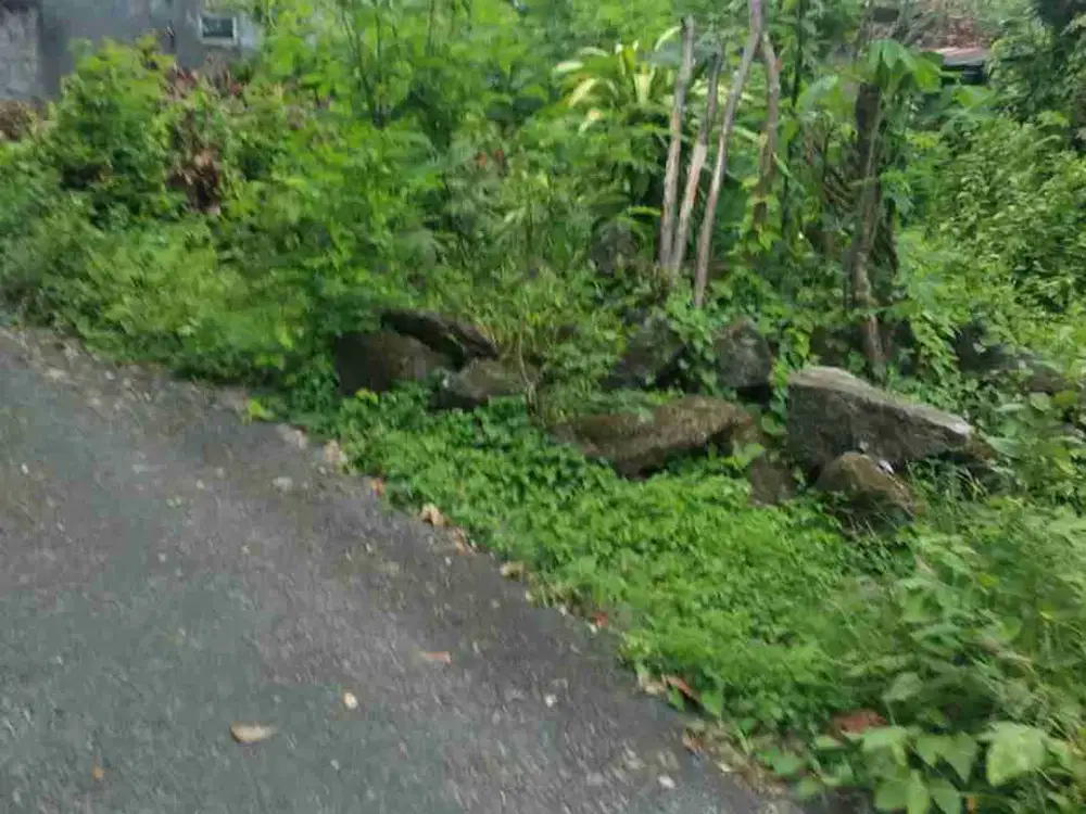 TANAH MURAH AREA KASIHAN, TIMUR LAPANGAN KASIHAN