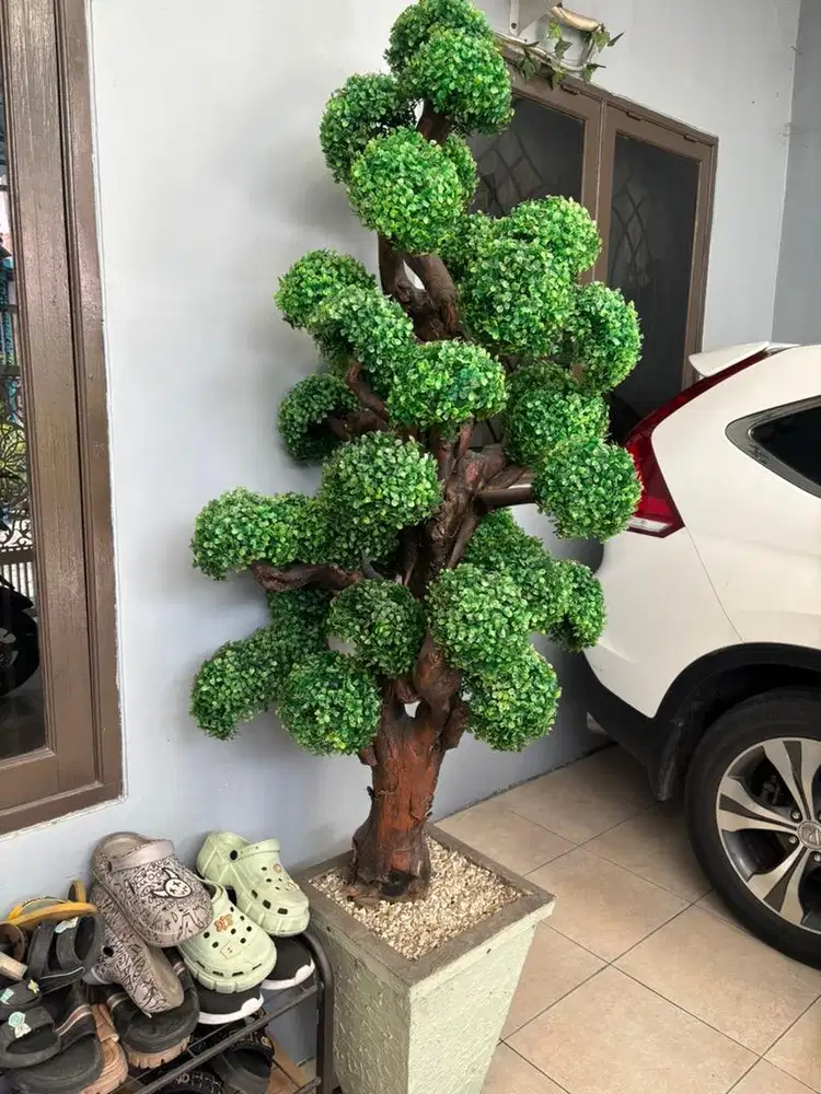 Pohon bonsai bulat
