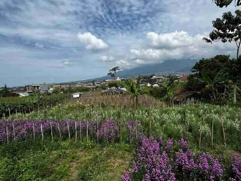TANAH MURAH KOTA BATU LAHAN KUNING