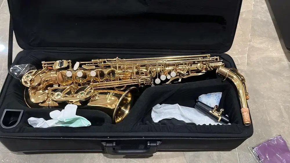Paladin Saxophone Alto (Gold)