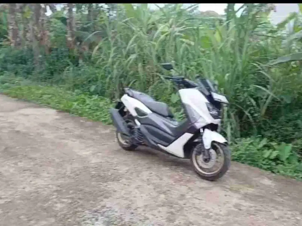 tanah kalping kosong