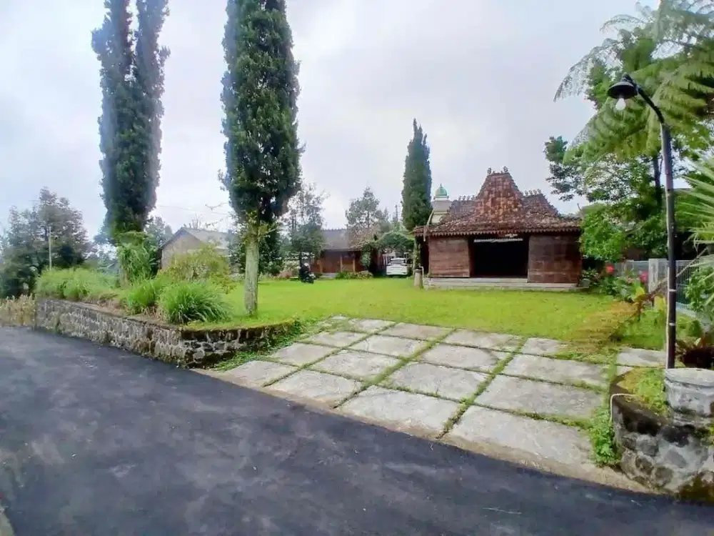 Ruang Usaha Siap Pakai Dekat Air Terjun Jumog Dekat Tempat Wisata