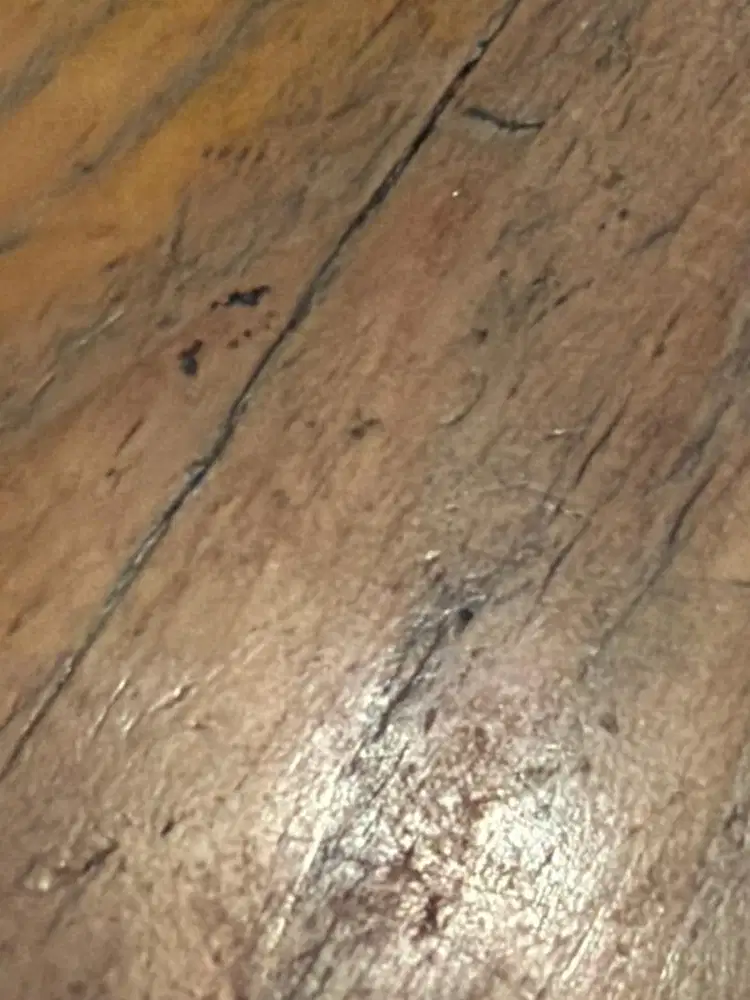 JAGA WARMINDO / WARKOP / WARTEN