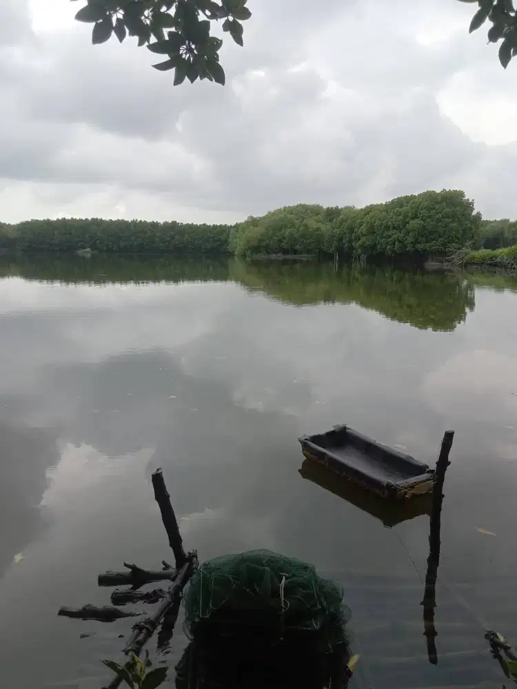 Dijual Empang Garapan di Muara Gembong Bekaai selaus 4 Ha