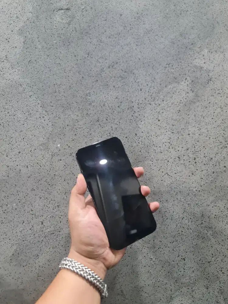 Iphone 12 pro max 256gb