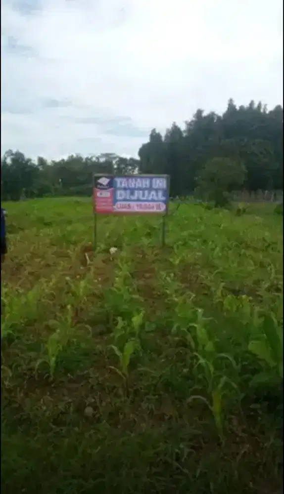 Tanah cantiik lokasi strategis, tidak perlu nimbun, tumpatan nibung