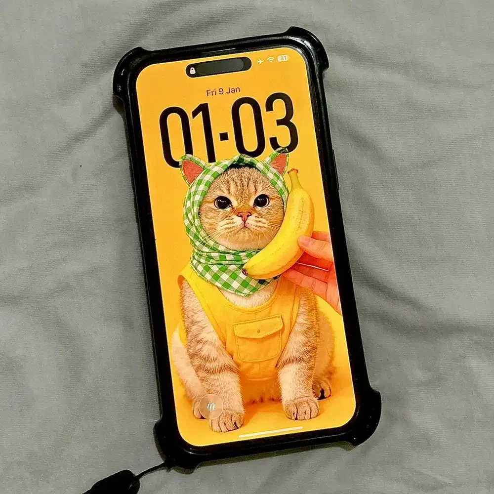 Iphone 15 Pro Max 256 Titanium White ex BliBli