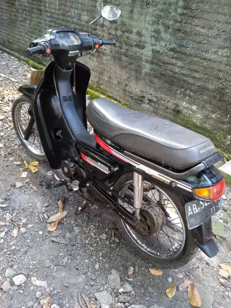 Astrea grand bulus 92
