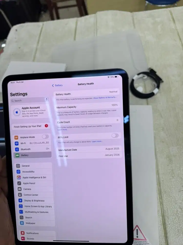 Ipad pro M4 11-inc 256 wifi ibox buka segel aja garansi on jan2027
