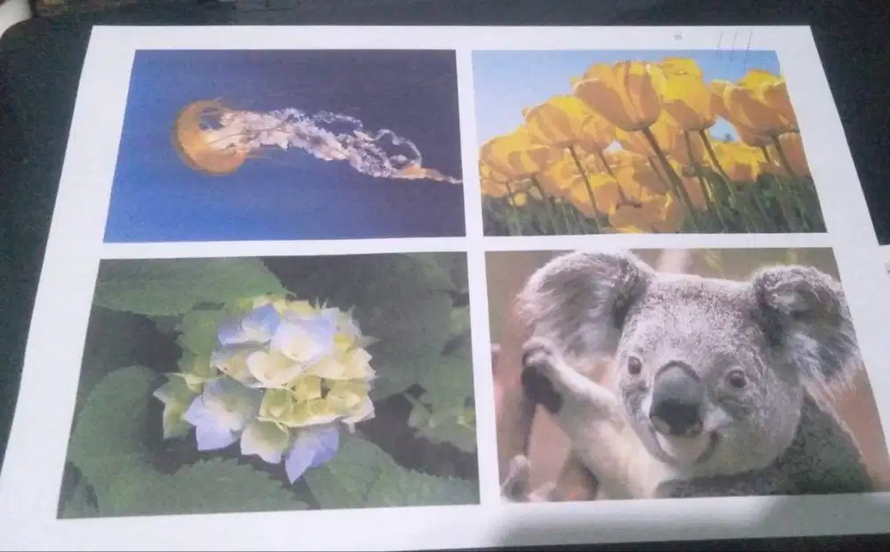 jual cepat printer canon mp 287 udh infussiap pakai