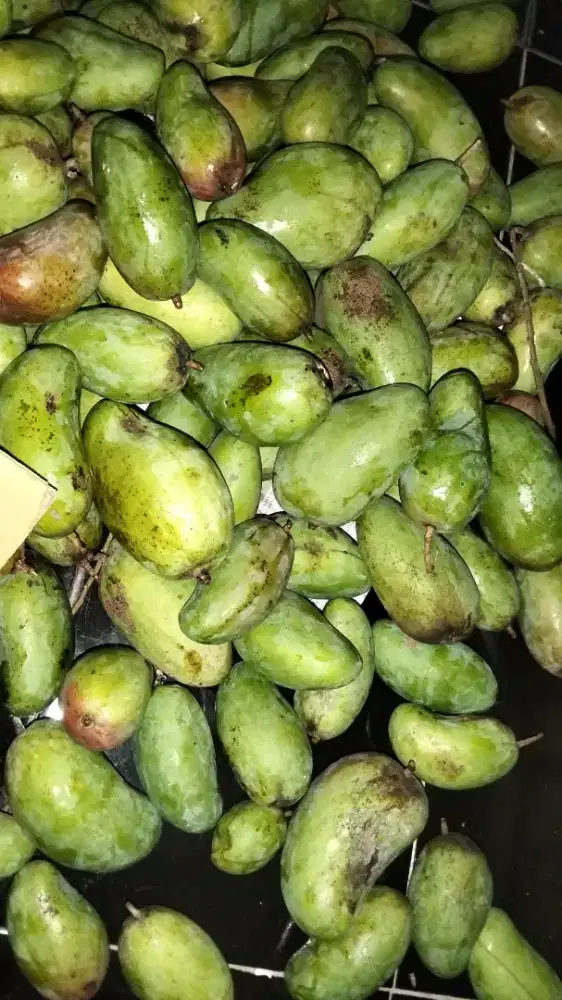 Mangga rujak gak kecut enak