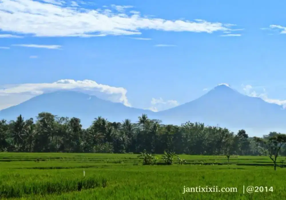 Layanan konsultasi masalah di keluarga