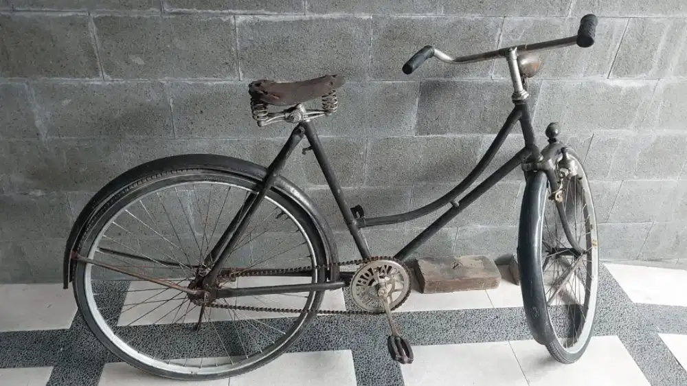 Sepeda Herosepeda kebo tua